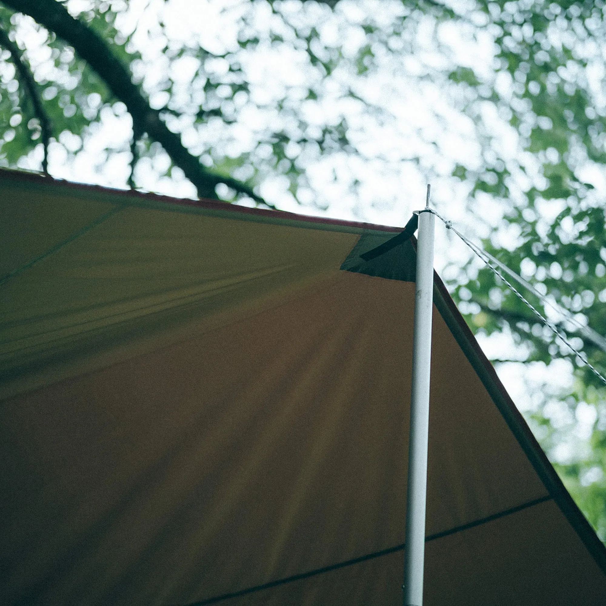 Recta Tarp HD in Large